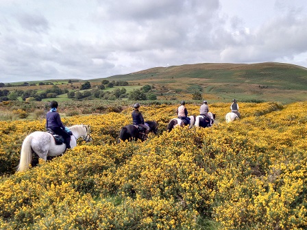 Three Day Welsh Border Trail 